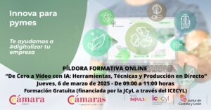 20250306 De Cero a Vídeo con IA Herramientas, Técnicas y Producción en Directo