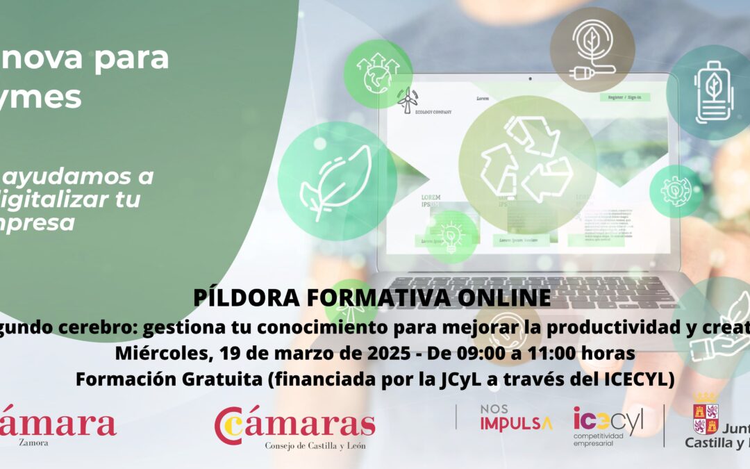 Píldora Formativa Online «Tu segundo cerebro: gestiona tu conocimiento para mejorar la productividad y creatividad»