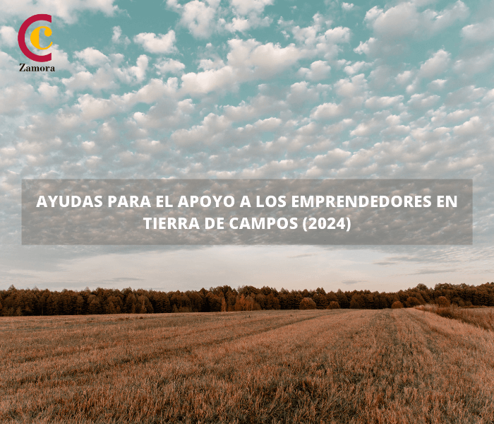 Ayudas para el apoyo a los emprendedores en Tierra de Campos (2024)