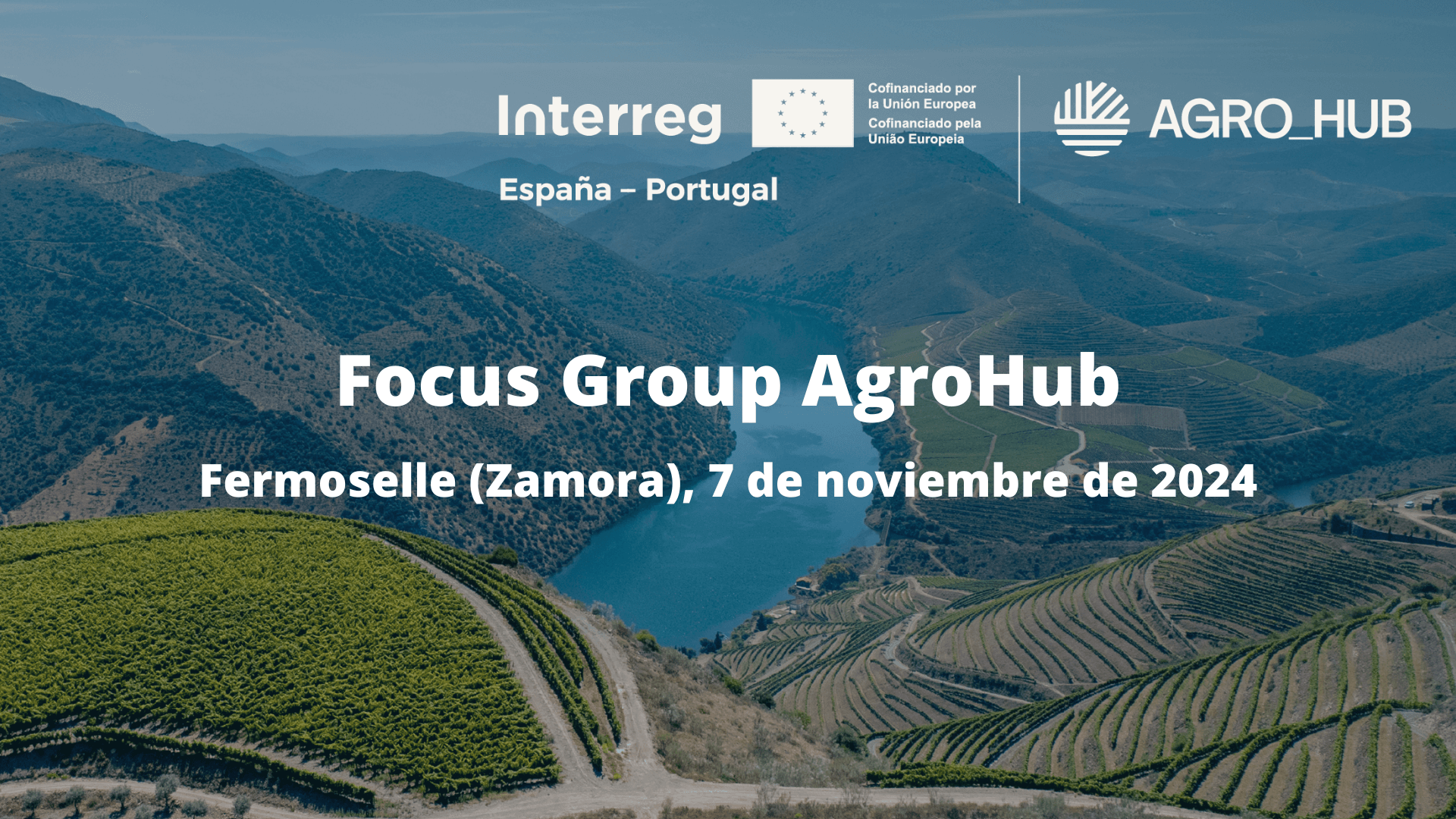 Focus Group AgroHUB