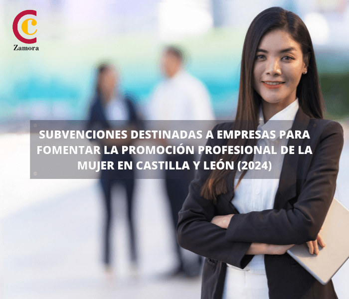Subvenciones destinadas a empresas para fomentar la promoción profesional de la mujer en Castilla y León (2024)